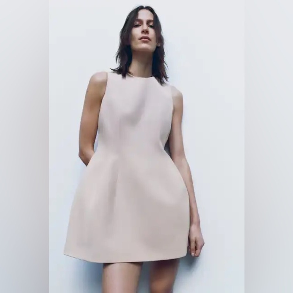 Zara pink tan Pleated A-Line Mini Dress